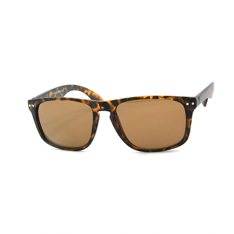 Men's sunglasses