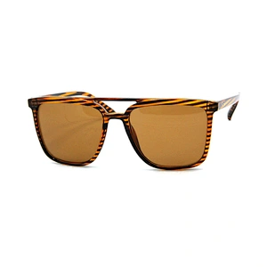 Men's sunglasses