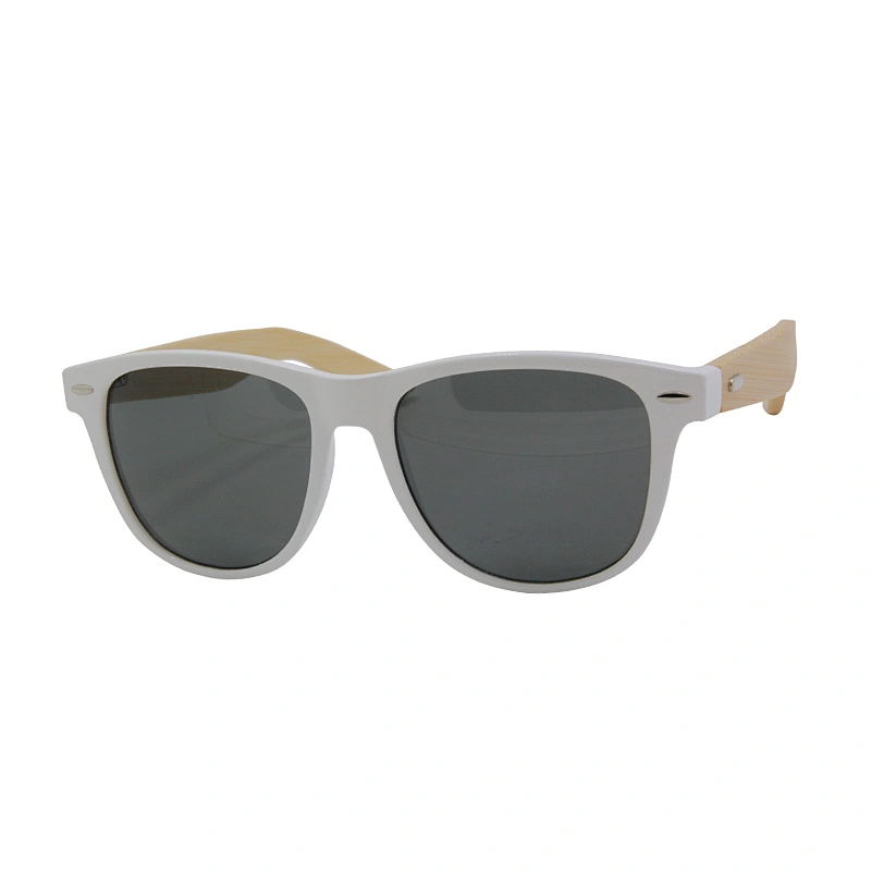Men's sunglasses
