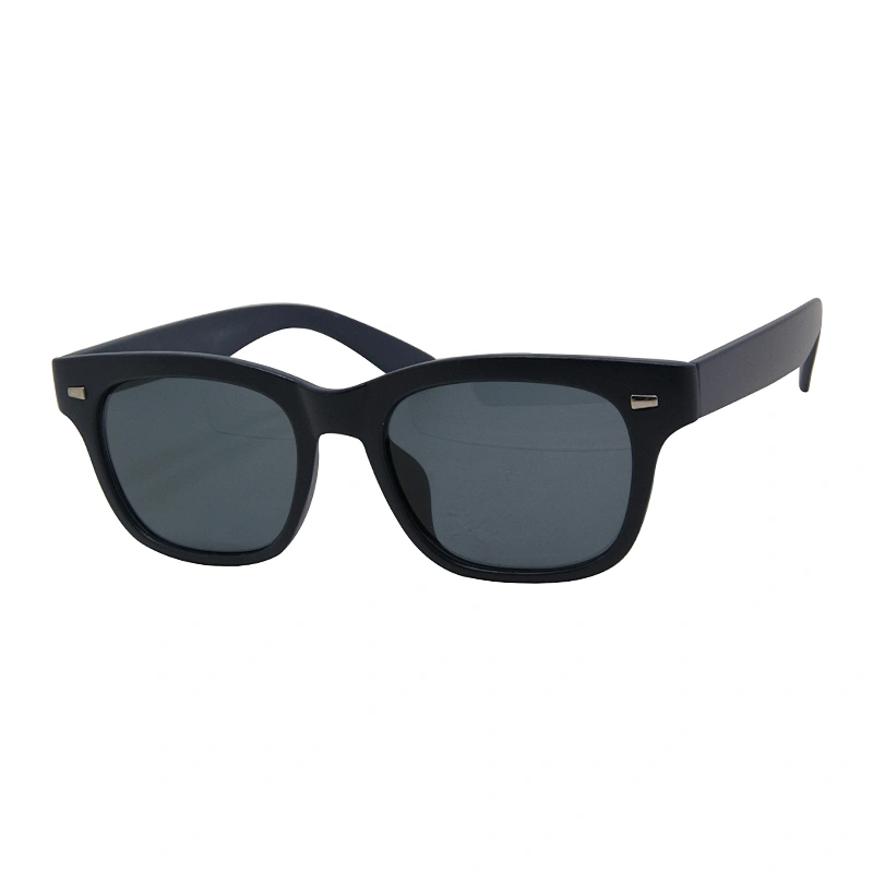 Men's sunglasses