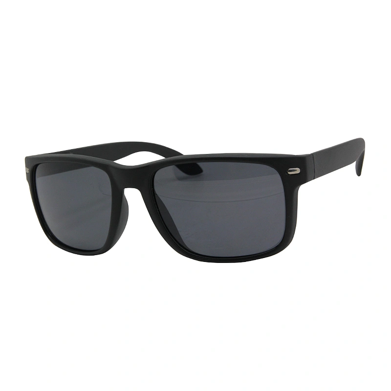 Men's sunglasses