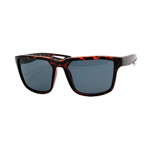 Men's sunglasses