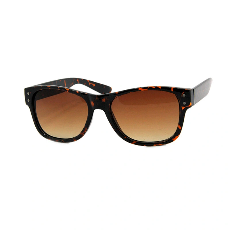 Men's Sunglasses