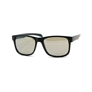 Men's sunglasses