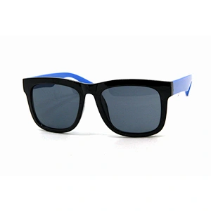 Men's sunglasses