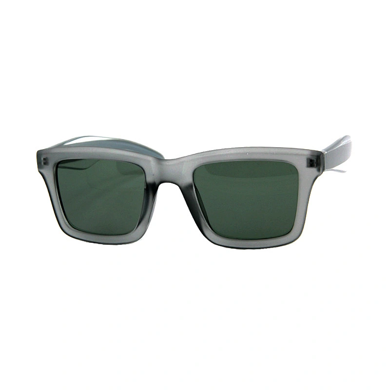 Men's sunglasses