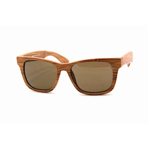 Men's sunglasses