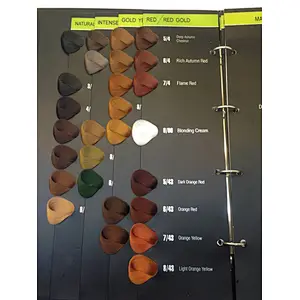Customize hair dye color chart / hair color swatch book