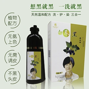 Best Quality Easy Operate Plant Extract Herbal Hair Dye Shampoo India