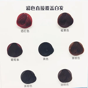 OEM 2 folds salon hair color chart
