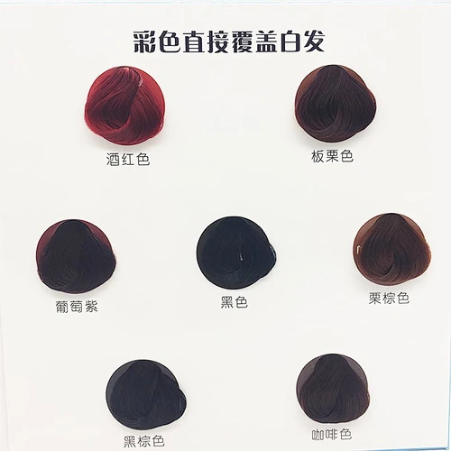 OEM 2 folds salon hair color chart
