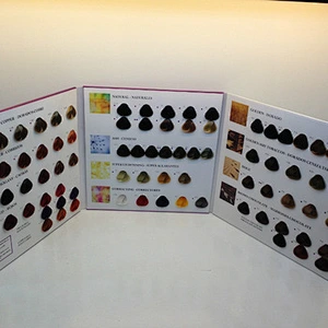 Professional color catalogue and hair color chart swatch  book for Hair Color Cream/Hair Dye