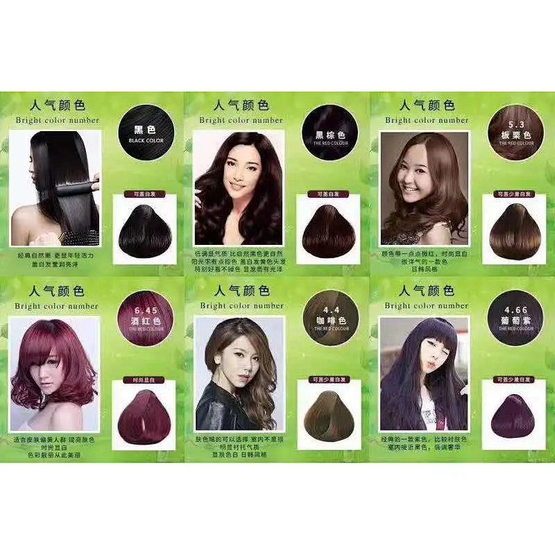 Best Natural Herbal Ammonia Free Aloe Dark Color Black Hair Dye Shampoo For Hair Dyes