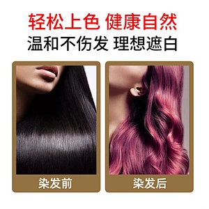 2020 Natural Instant Black Hair Dye Shampoo Color Shampoo Sachet for grey hair