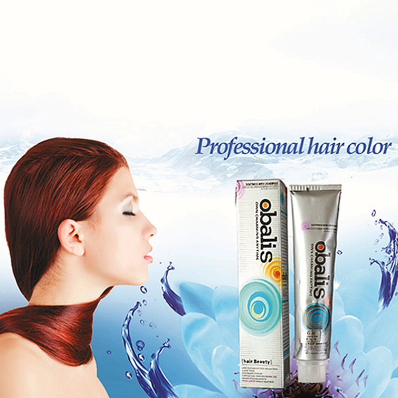 Professional Hot Selling Colorful Hair Color Cream Hair Dye
