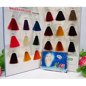 Private label 100% High Quality hair colour chart hair dye color cream swatch book