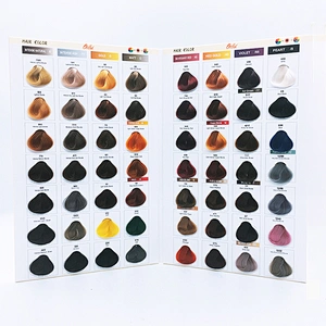 Customize hair dye color chart / hair color swatch book/hair palette
