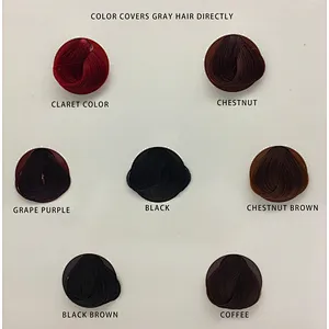 OEM Low MOQ hair dye cream swatch color book cover gray hair color chart
