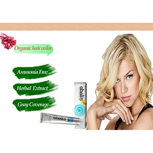 Professional Hot Selling Colorful Hair Color Cream Hair Dye