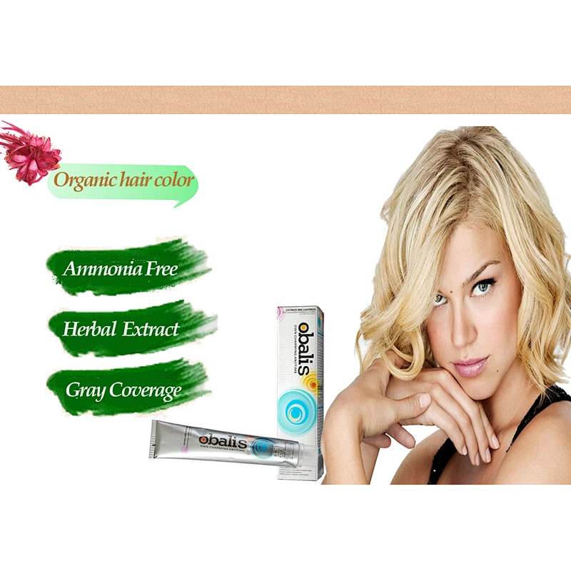 Professional Hot Selling Colorful Hair Color Cream Hair Dye