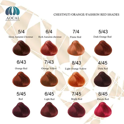 OEM 2 folds hair color chart manufacturers