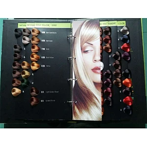 China Professional Hair Dye Product Factory  Ammonia free Hair Color Cream