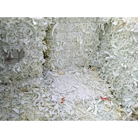 White Bra foam scrap