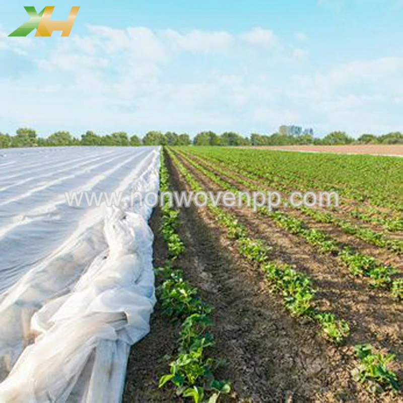 pp spunbond agriculture non woven fabric