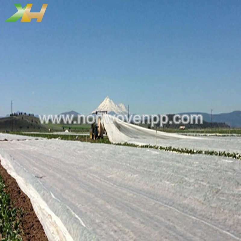 non woven agriculture use