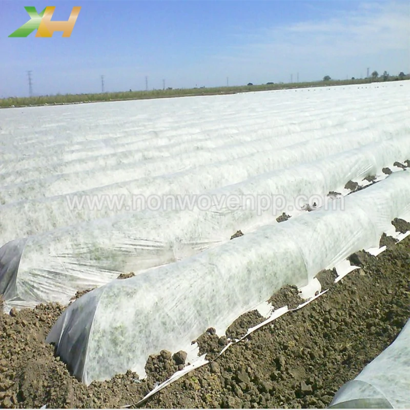 pp spunbond agriculture non woven fabric