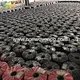 polypropylene spunbond nonwoven cloth