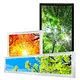1195*595mm  Led Skylight