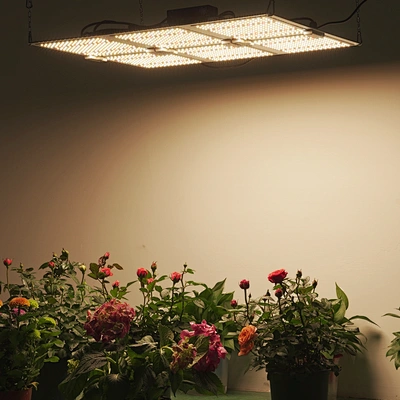 400W lm301h IP65 waterproof grow panel lamp led board light full spectrum for CBD plants