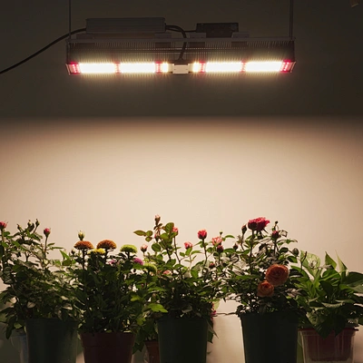 320w 640w IP65 Waterproof Horticultural Lighting LED Grow Light for Indoor plants Greenhouse