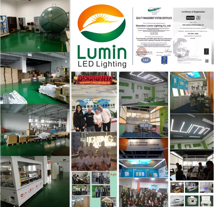 Lumin company and client photoes show