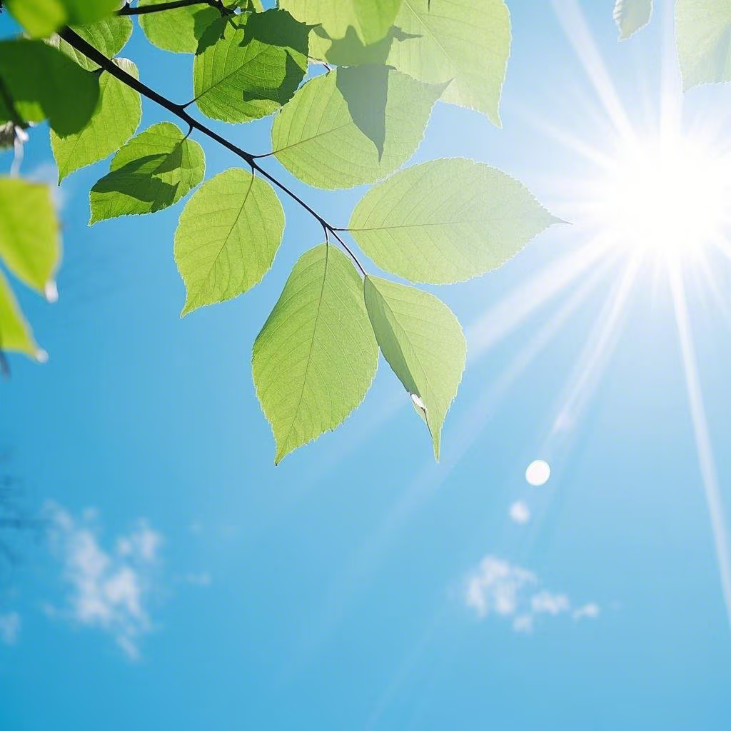 Natural sunlight with blue sky and clouds