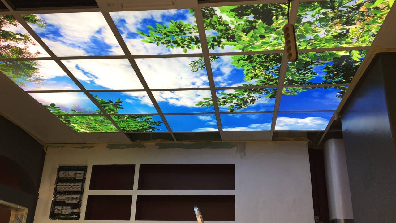 Lumin light therapy panel installed in windowless office workspace, improving mood and focus for employees