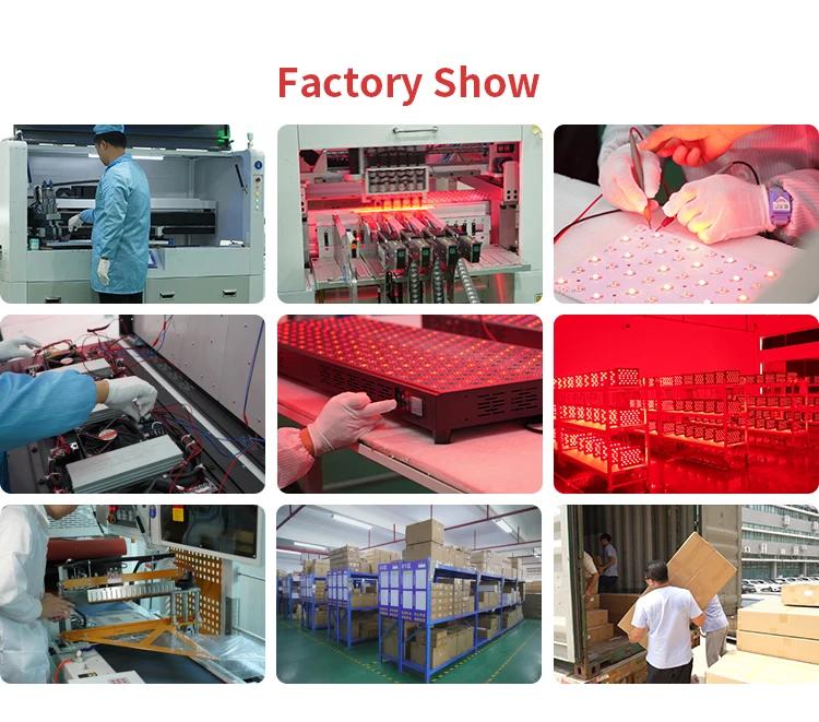 Luminlight red light panel factory show