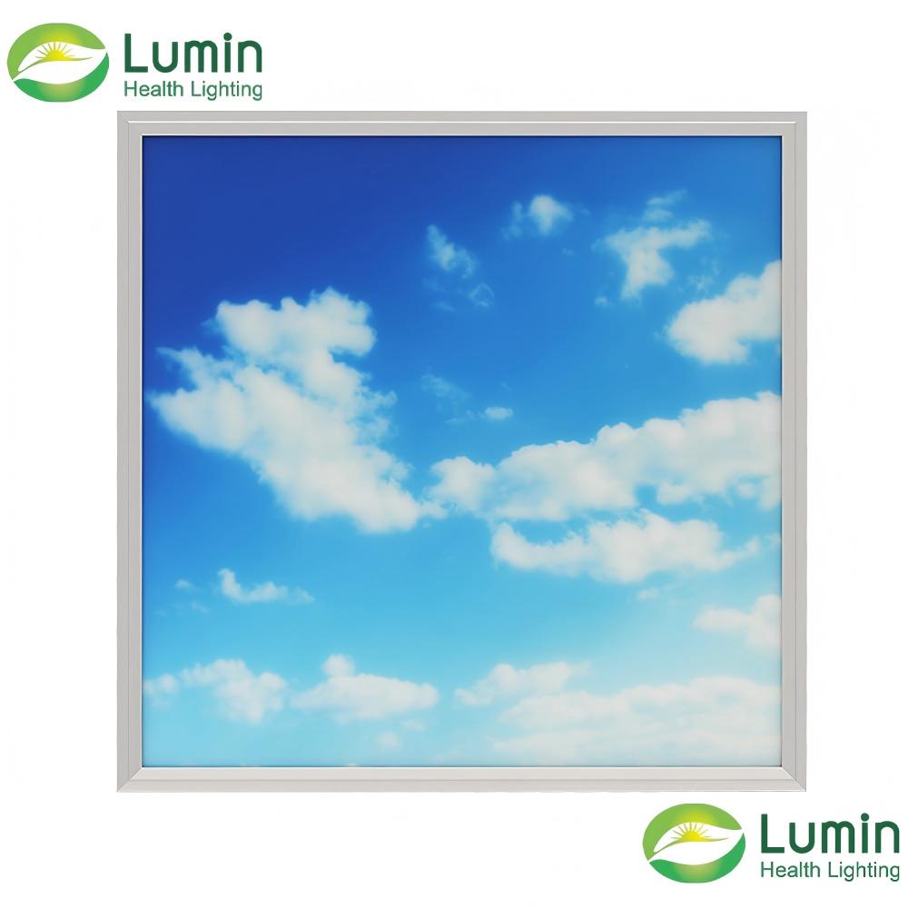 MRI Safe Non-Magnetic Blue Sky LED Panel Light 600x600 LM-PL-66-35-Sky