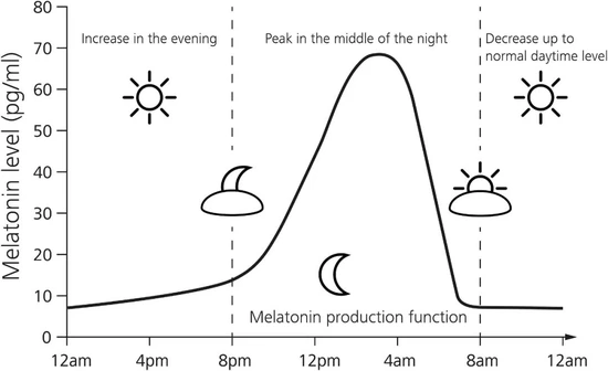 Lumin-Melanopic EDI daily curve: high melanopic light during the day, sharp drop in the evening, near-zero at night