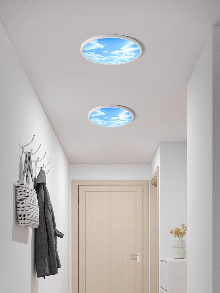 Lumin circular LED skylight panel in entryway ceiling creating welcoming sky effect