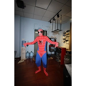 Spiderman costume