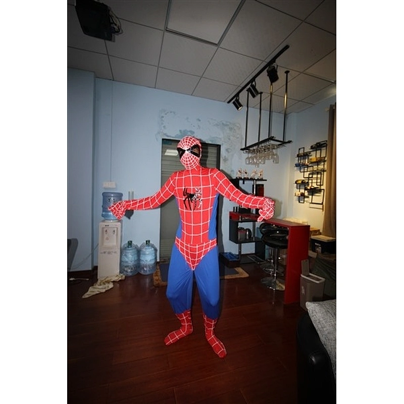 Spiderman costume