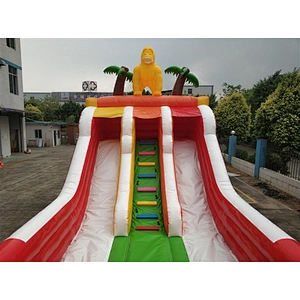 dragon outdoor obstacle course equipment which is belonging to inflatable obstacle course for sale--20x4x4.5M
