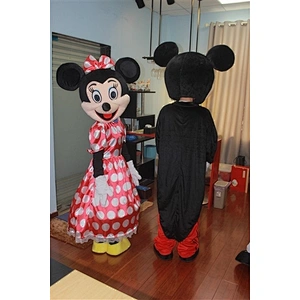 Mickey and Minnie costume