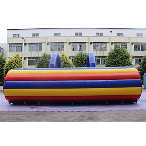 inflatable roller-8x6x3.8m
