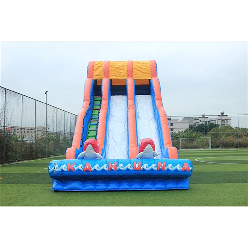 two slides Inflatable Slide-10.67x4.27x6.86M