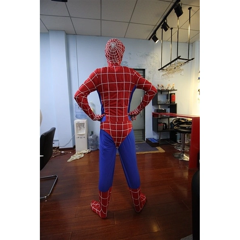Spiderman costume