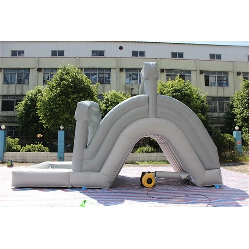 inflatable water slide for sale-6x2.5M