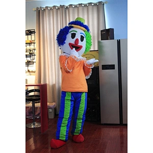 clown costume
